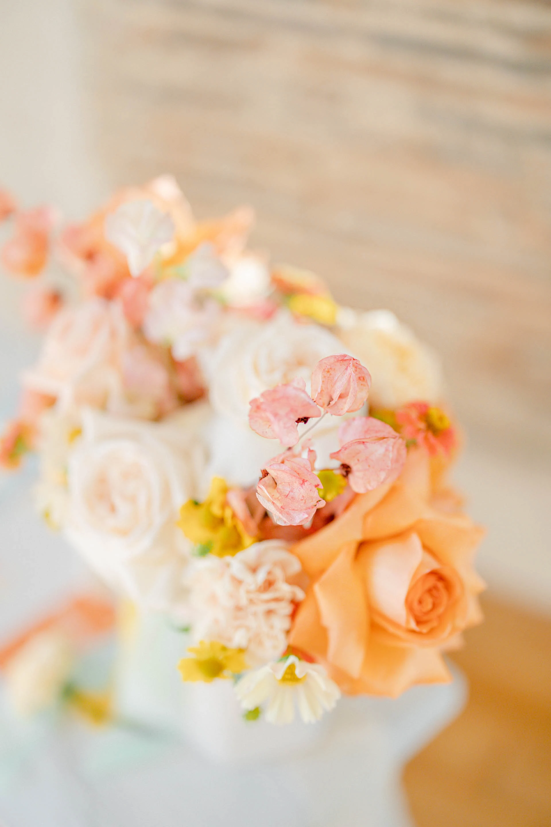 fleur pétale orange jaune rose